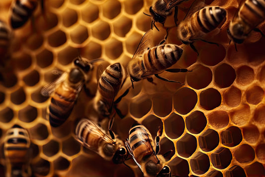 What is Bee Pollen and 10 Ways to Consume It