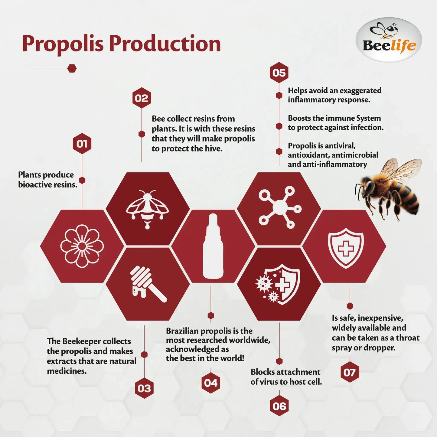 Infographic on propolis production featuring hexagonal sections with icons, text details, and a central bottle illustration.