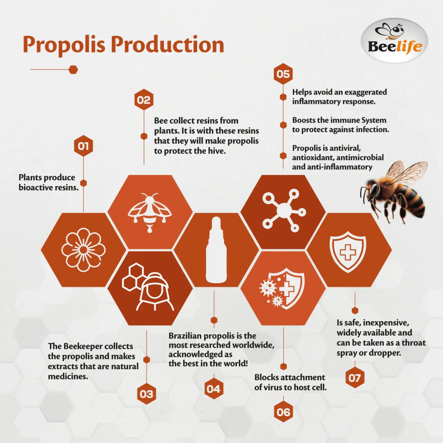 BeeLife Green Propolis Drops packaging, featured in an infographic format, highlights benefits and production process.
