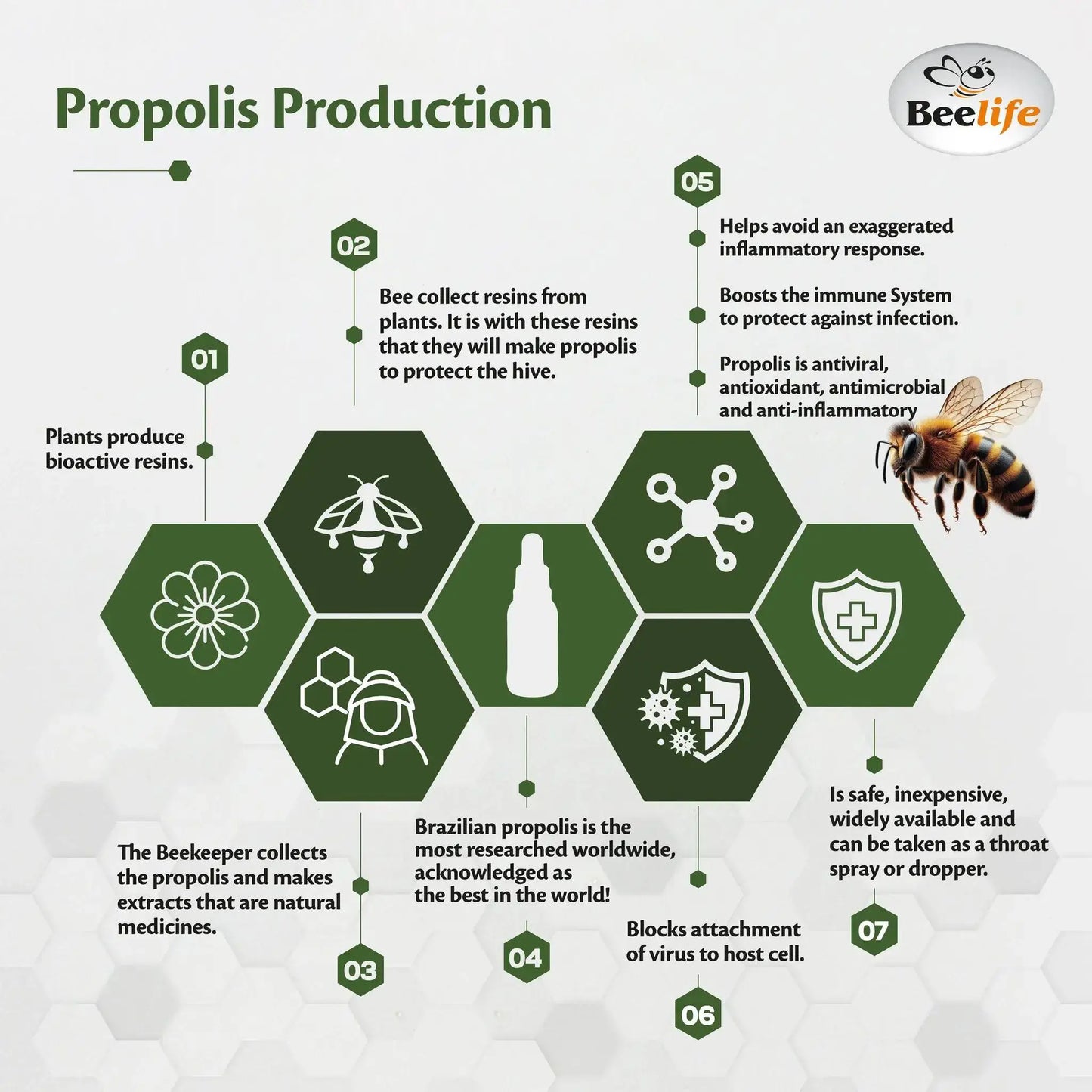 Infographic detailing propolis production with hexagon icons, facts about benefits, and a bottle illustration.