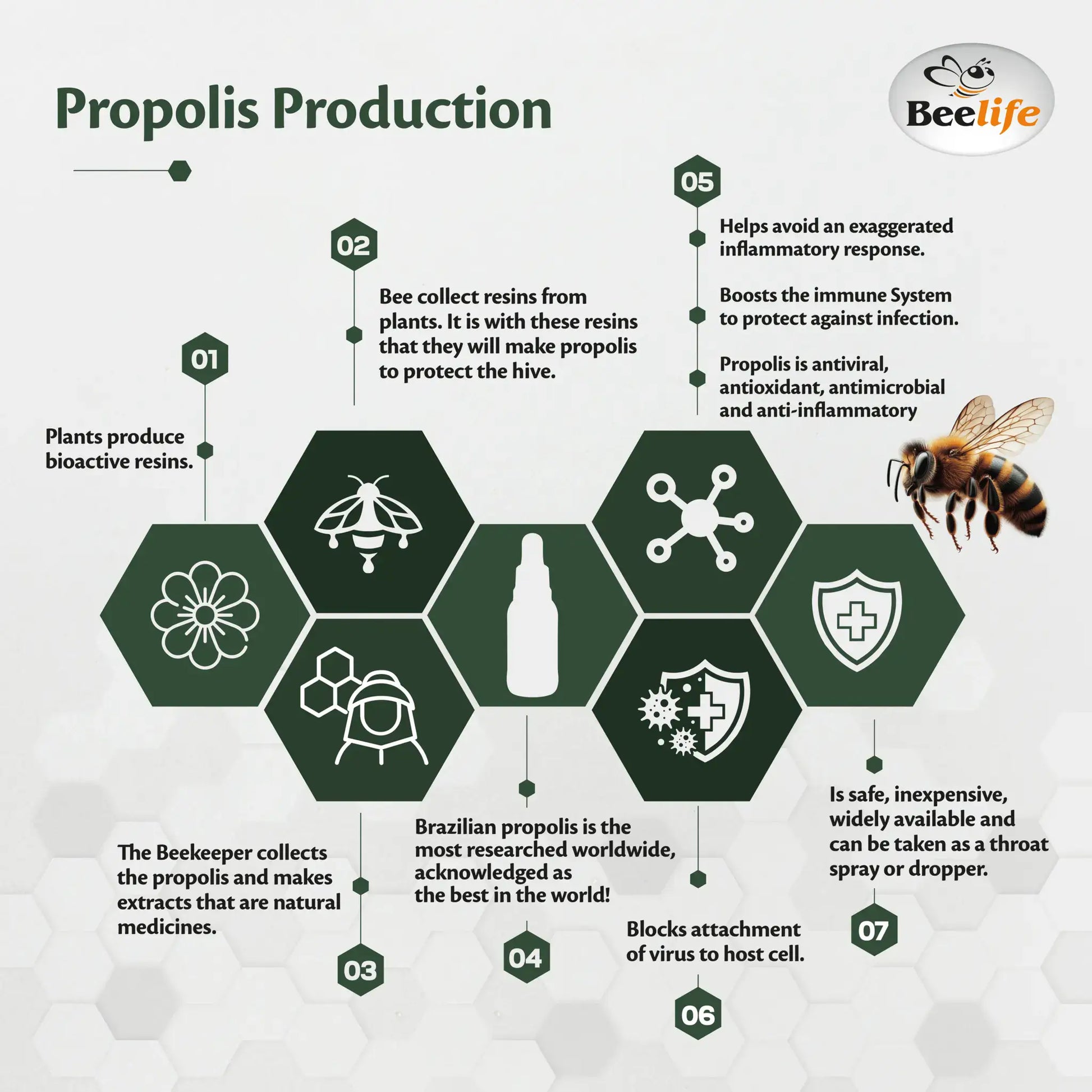 Infographic on propolis production, featuring hexagonal sections showing bees, plants, and benefits of propolis.
