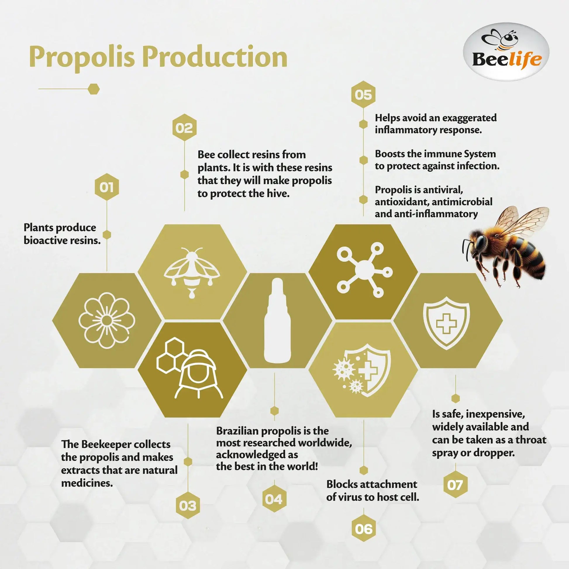 BeeLife Green Propolis Drops 15% Dry Extract in a 30ml bottle, featuring an informative honeycomb design and bee motifs.