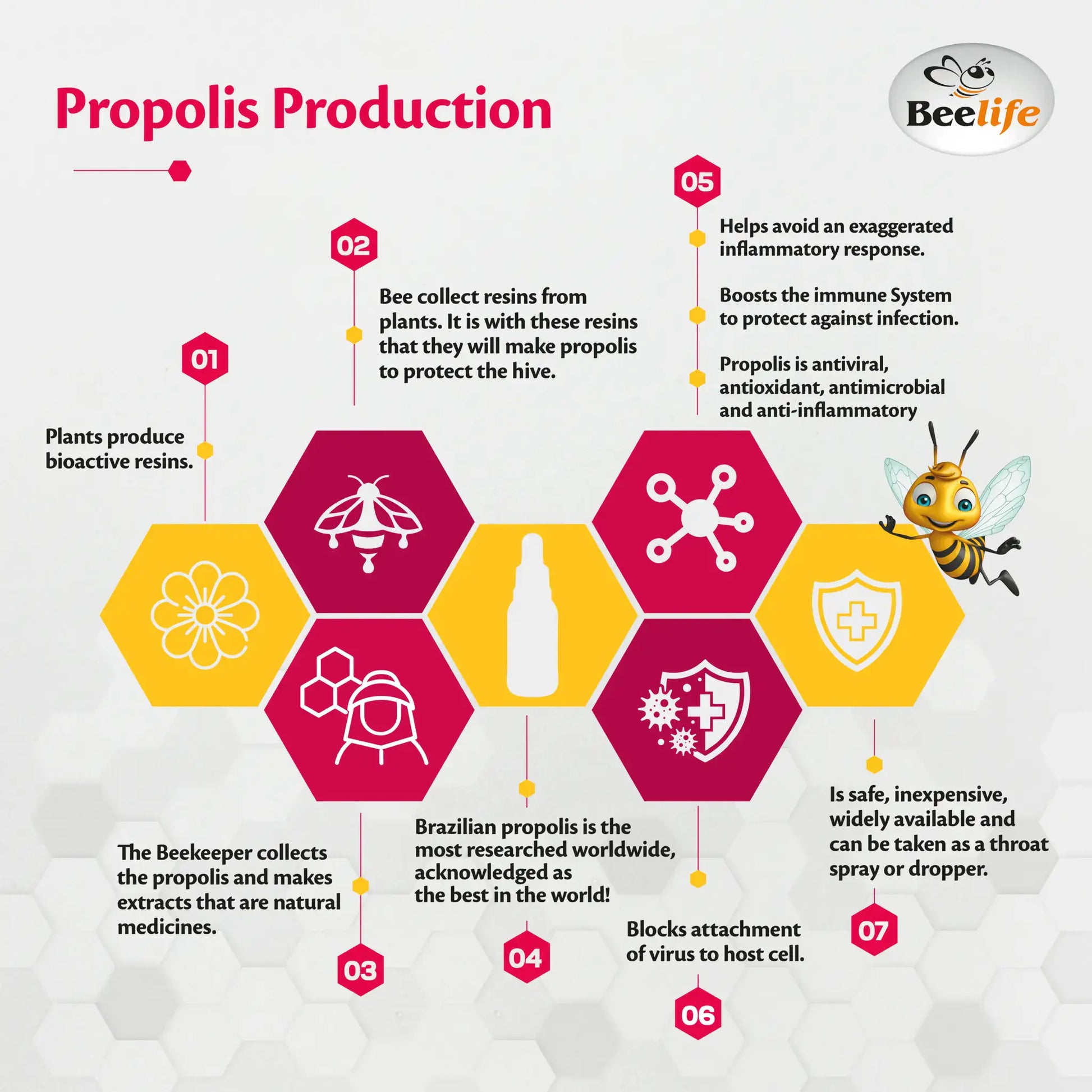 Infographic on propolis production featuring hexagonal icons, colors of yellow and red, and a bottle illustration.
