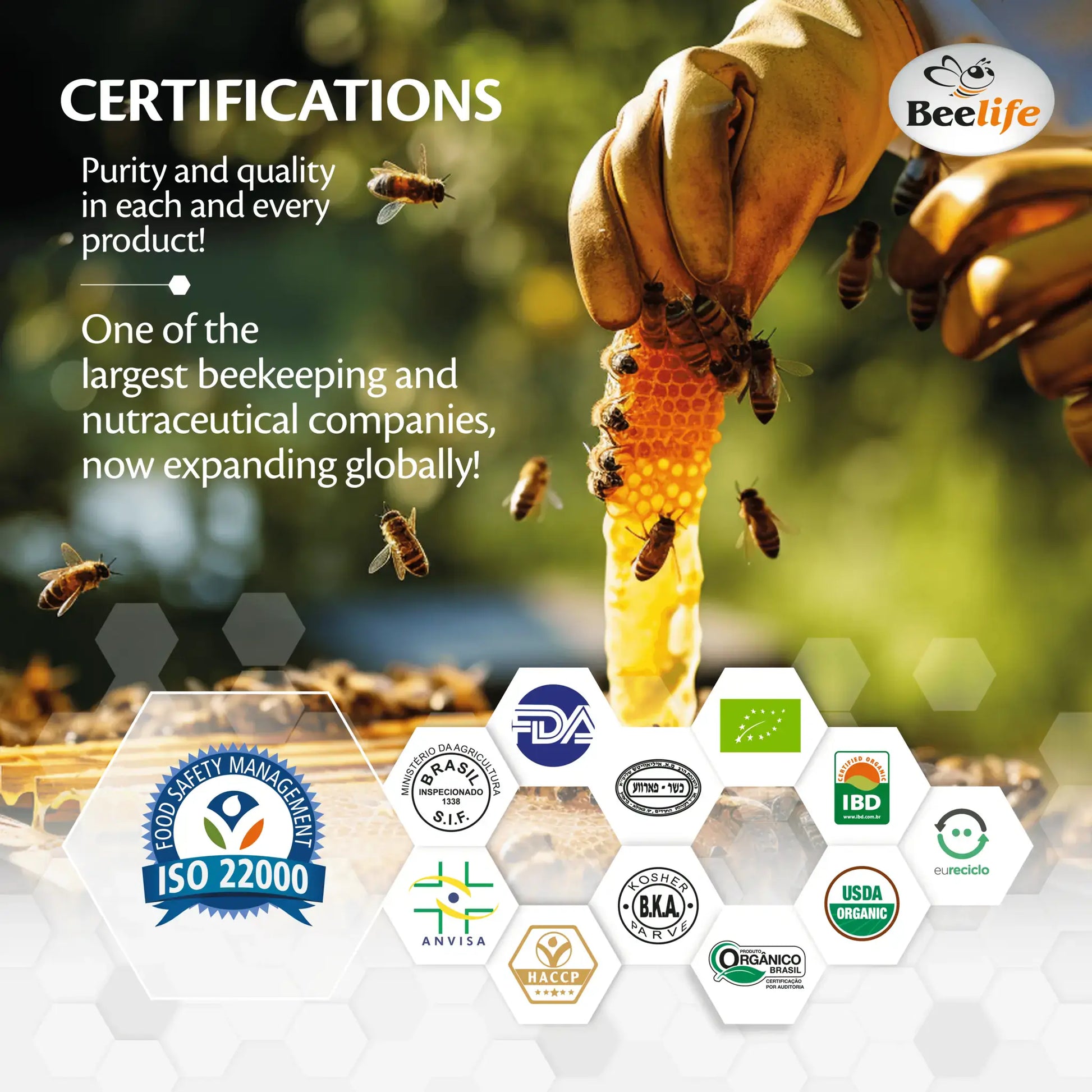 Beehive background with honey extraction, showcasing certification logos and emphasizing quality and global expansion.