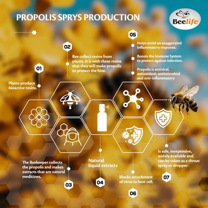 Infographic detailing propolis spray production with hexagonal sections, bee illustrations, and benefits of natural extracts.