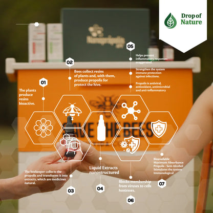 Image shows packaging with a bee-themed design, emphasizing bee products and health benefits, with informational icons nearby.