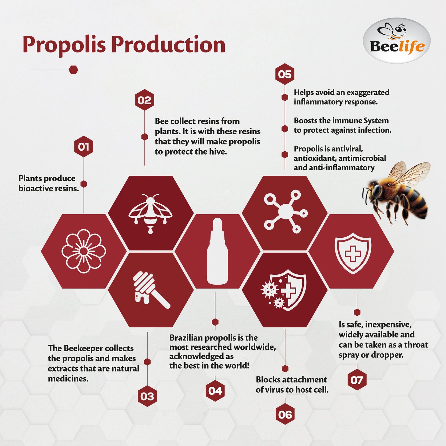 Propolis Extract, Power Blend Green, Red & Brown Propolis- 100% Pure Extract Bee