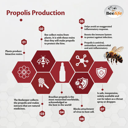 Propolis Extract, Power Blend Green, Red & Brown Propolis- 100% Pure Extract Bee